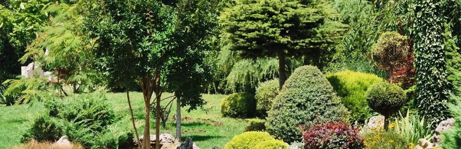 lush lawn with shrubs